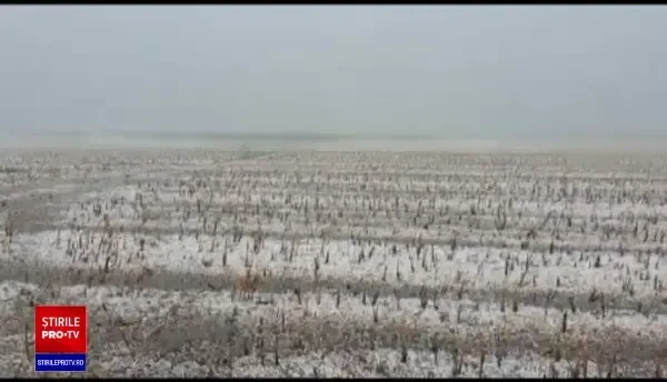Munca fermierilor, distrusă în doar 20 de minute de o grindină teribilă. "Va fi ca după război!"