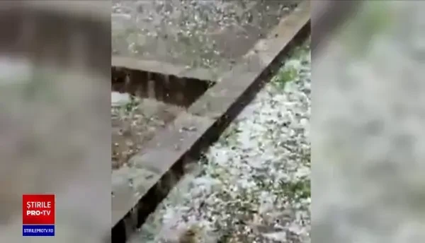 Munca fermierilor, distrusă în doar 20 de minute de o grindină teribilă. "Va fi ca după război!"