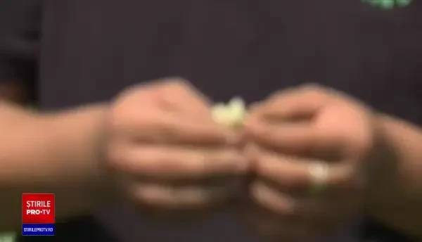 Motivul pentru care fermierii români au început să cumpere gândaci minusculi. „Sunt foarte dulci”