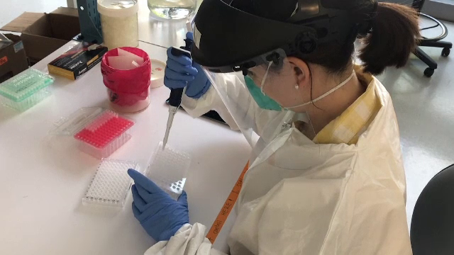 Pandemia e departe de final în SUA. 4 din 10 persoane sunt asimptomatice și împrăștie virusul