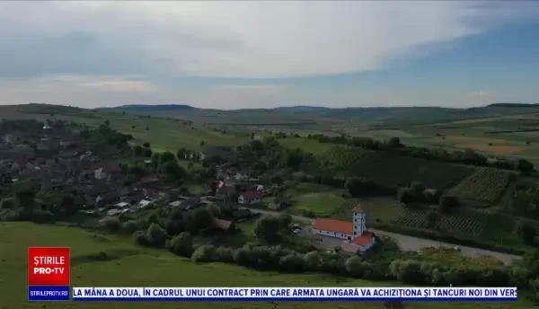 În ţara noastră doar 30% din suprafaţa viticolă este dedicată vinului de calitate