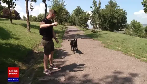 Ce tarife au hotelurile pentru animale pe perioada pandemiei. Prețurile au scăzut