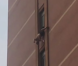 Imagini șocante. Un pensionar a stat minute în șir atârnând de o fereastră de la etajul 10. Cum a ajuns acolo