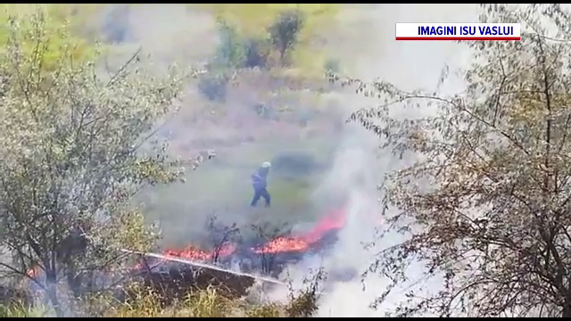 Incendiu de vegetație uriaș în Vaslui. Șase hectare au ars