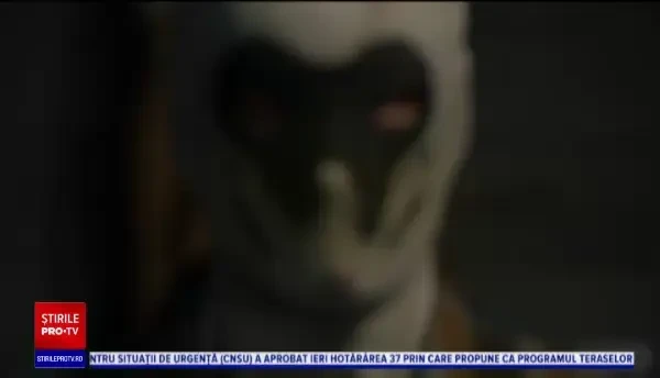 Nominalizările pentru premiile Emmy au fost anunțate. Serialul „Watchmen” porneşte ca favorit