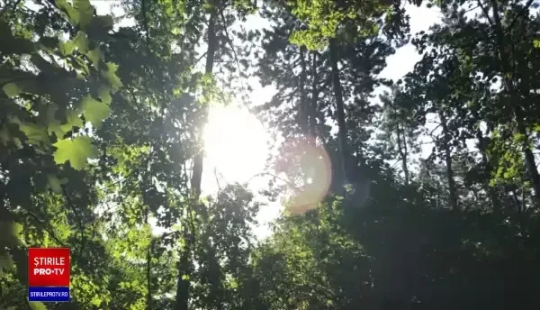 Soluție inedită pe timp de caniculă. Aplicația care îți indică locurile umbroase sau fântânile arteziene