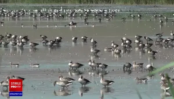 Delta Moldovei, un loc de o frumusețe rară în țară. Cât costă un sejur