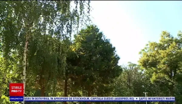 Horoscop 3 august 2020, prezentat de Neti Sandu. Capricornii primesc o mărire de salariu