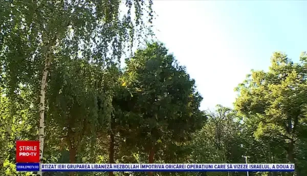 Horoscop 5 august 2020, prezentat de Neti Sandu. Berbecii au parte de schimbări importante