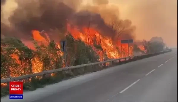 VIDEO. Incendiu de vegetație devastator pe Coasta de Azur. Peste 2.700 de persoane evacuate
