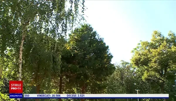 Horoscop 6 august 2020, prezentat de Neti Sandu. Peștii se îndrăgostesc și vor fi fericiți