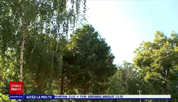 Horoscop 7 august 2020, prezentat de Neti Sandu. Peștii au parte de bani în plus