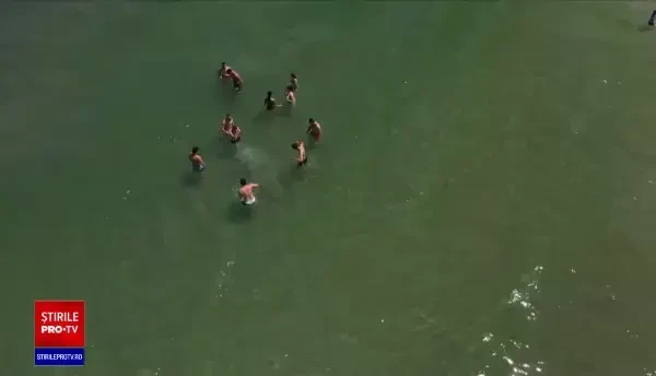 Antreprenori și angajați s-au mutat pe plajă. Cum arată o zi de lucru la malul mării