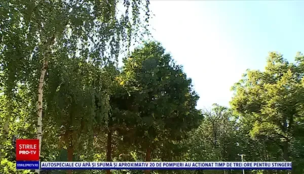 Horoscop 8 agust 2020, prezentat de Neti Sandu. Peștii își vor duce familia în vacanță