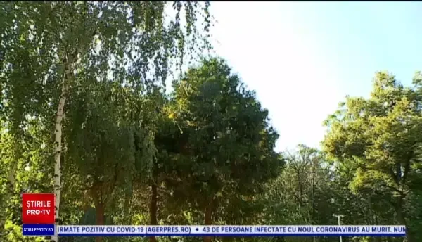 Horoscop 9 august 2020. Peștii vor avea parte de o surpriză și vor primi niște bani