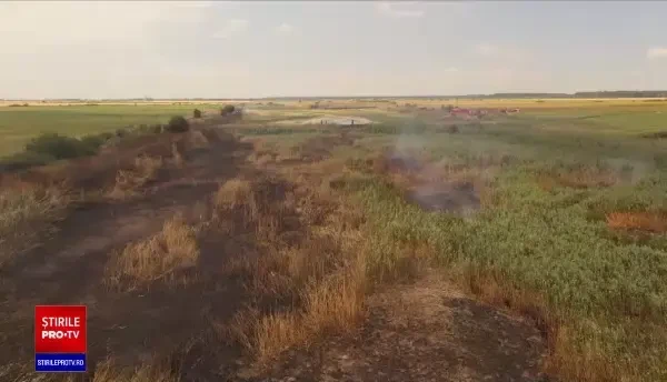 Poluare în Ilfov după incendiul de la o fostă fermă de porci. Garda de Mediu spune că doar miroase urât