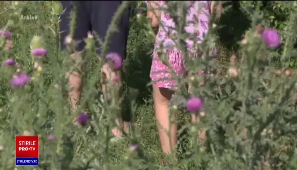 Caz oribil în Suceava. Pastor arestat după ce și-a violat și exploatat propriii copii. Ce le-a transmis vecinilor