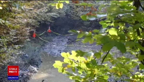 Hoțul de lemne care l-a ucis pe pădurarul din Maramureș, prins după un an de zile. ”N-a fost ceva curat”