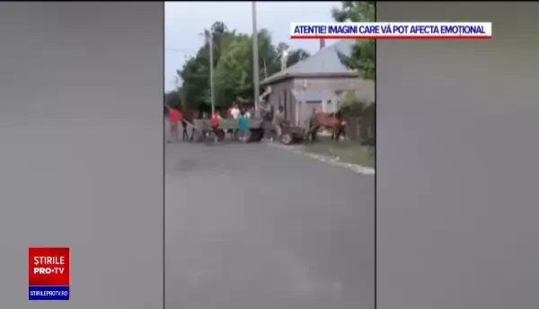 VIDEO. Cal lovit cu bestialitate după ce căruța s-a blocat într-un şanţ. Cum se apără proprietarul