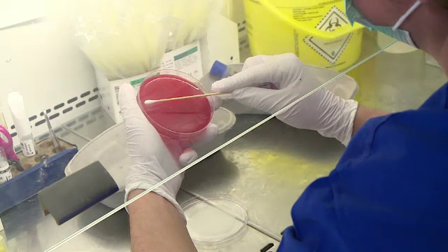 Joi 13 august, cea mai neagră zi de la începutul pandemiei. Anunţul lui Nelu Tătaru