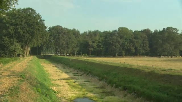 Seceta face ravagii în Europa. Un râu din Germania a secat pe porțiuni întinse