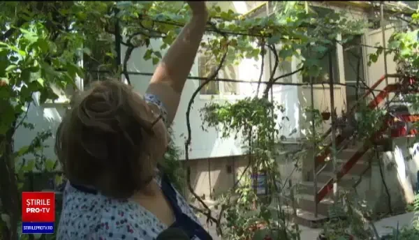 Un hoț prins la furat a sărit de la etajul trei și a rupt-o la fugă ca să scape de polițiști: ”Era ca o pisică!”