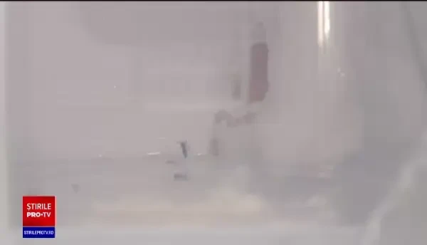 Ţânţarii "exotici", un nou pericol pentru români. Pot transmite boli mortale