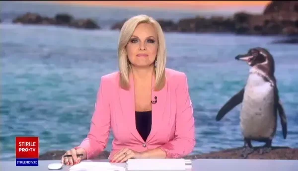 Descoperire inedită. Ce a găsit un echipaj de poliție în timp ce patrula noaptea