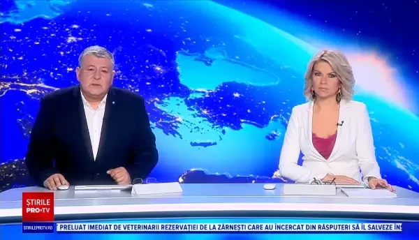 Sfârșit dramatic pentru un pui de urs. A murit, după ce a fost izbit de o mașină pe o șosea