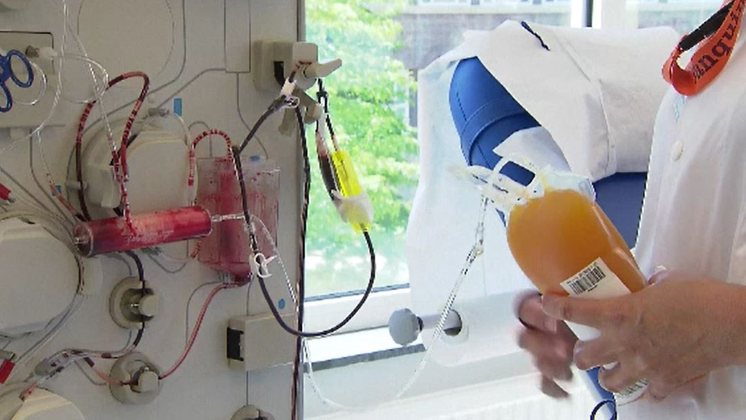 Pacientă din Alba aflată în stare critică din cauza COVID-19, salvată prin transfuzie cu plasmă