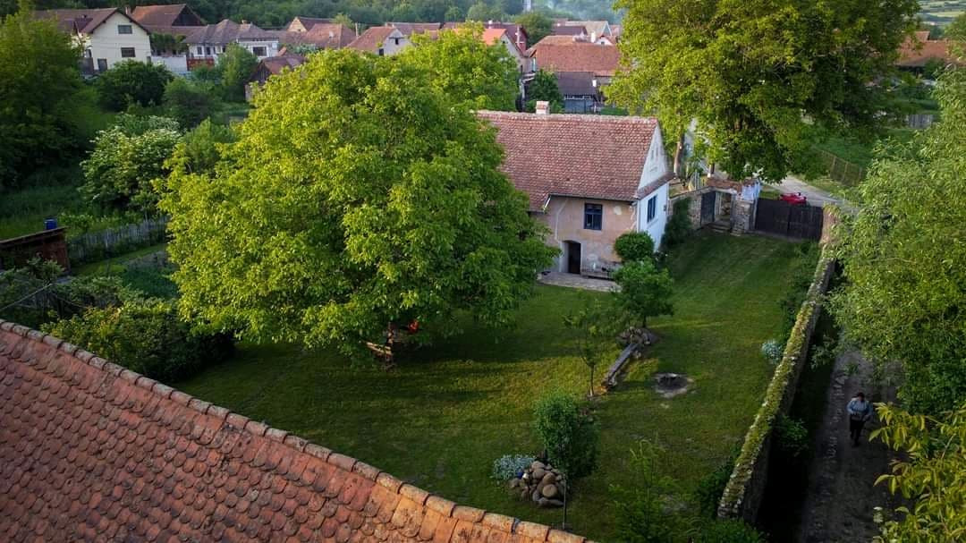 Țara Făgărașului. Casa desprinsă dintr-un colț de Rai care a schimbat viața unui om