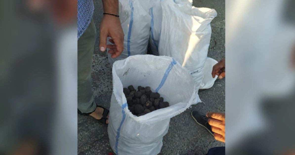 Captură impresionantă în Bacău. Polițiștii au descoperit într-o mașină 140 kg de trufe