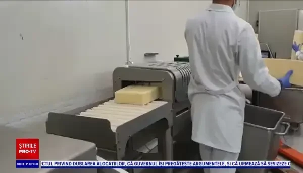 Peste 15 mii de afaceri au finanțare prin IMM Invest. Cum folosesc antreprenorii banii