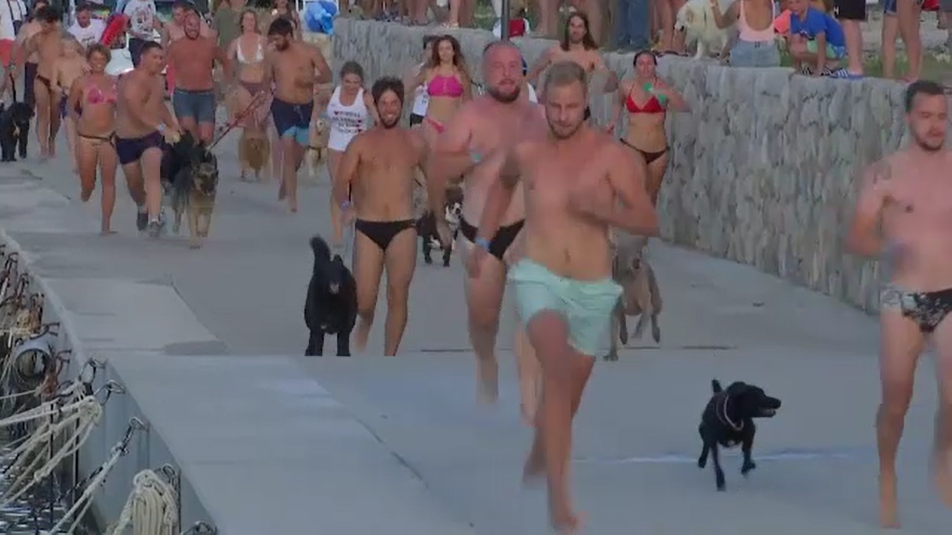 ”Dogathlon” în Croația. Iubitorii de animale s-au întecut într-o cursă inedită