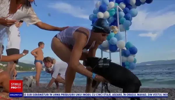 ”Dogathlon” în Croația. Iubitorii de animale s-au întecut într-o cursă inedită