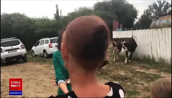 Clipe de groază pentru un copil din Iași. A ajuns la spital după ce a tăiat un cartuș cu fierăstrăul