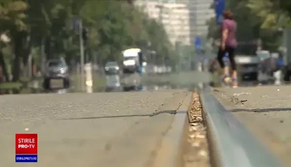 Seceta a distrus culturile de cereale. România, mai potrivită pentru a creşte banane şi kiwi