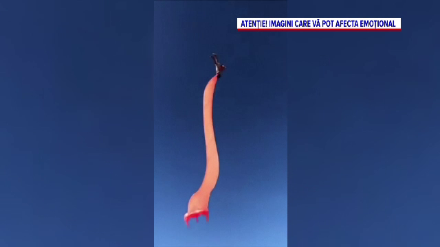 VIDEO. Momentul în care o fetiță de trei ani e ridicată 10m în aer de un zmeu
