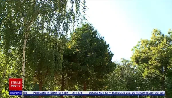 Horoscop 7 septembrie, cu Neti Sandu. Scorpionii fac primul pas spre o nouă relație