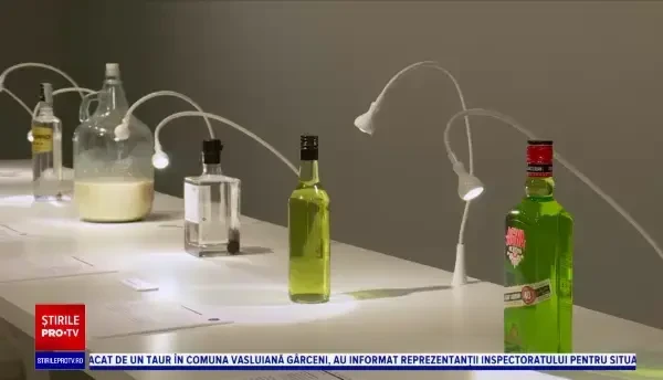 Vin din materii fecale sau vodcă cu scorpion. Muzeul băuturilor alcoolice bizare, deschis în Suedia