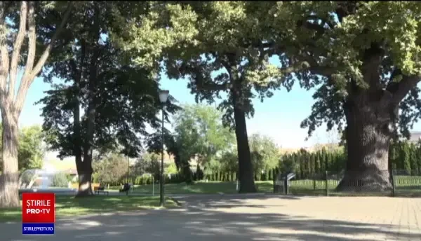 Crimă îngrozitoare în Blaj, comisă de un tânăr şi un minor. Victima, atât de desfigurată că nu poate fi identificată