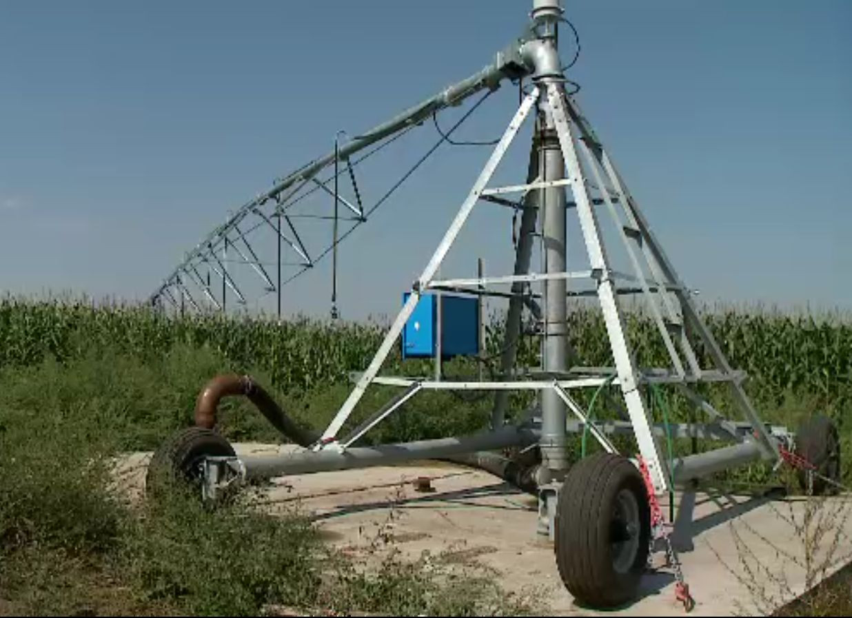 Va fi criză de porumb din cauza secetei. Soluția găsită de un fermier din Constanța