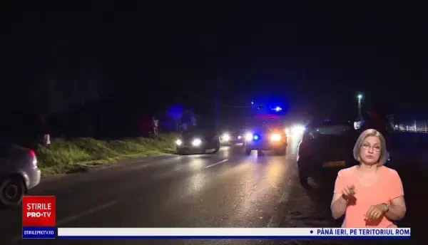 Haos pe un drum din Dâmbovița, din cauza unei vaci. Ce s-a întâmplat