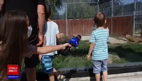 Ultimul weekend de relaxare înainte de începerea școlii. Părinții și copii au luat cu asalt grădinile zoo și parcurile