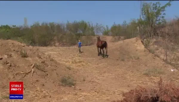 Învățământul în sistem online, un eșec încă din prima zi. Zeci de mii de elevi au primit "interzis" la educație