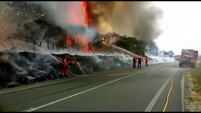 Imagini tulburătoare. Incendiile de vegetație au făcut prăpăd în Spania
