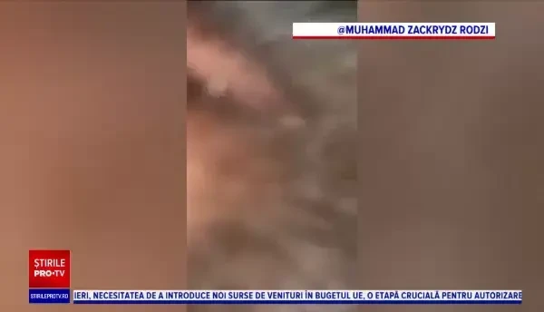 Un tânăr și-a găsit telefonul în junglă, după ce a crezut că i-a fost furat. Ce a găsit în galerie