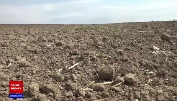 Secetă extremă în țară. Agricultorii renunță la culturi, Ministerul distribuie despăgubiri