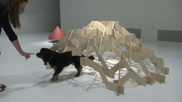 Expoziţie cu creaţii arhitecturale pentru câini, la Londra. Cum au reacționat animalele