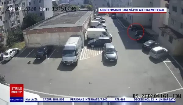 Incident șocant în Năvodari. Un copil, atacat de o haită de câini în timp ce venea de la școală